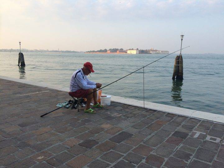 Fish of the Venetian Lagoon - Fish | Truly Venice Apartments