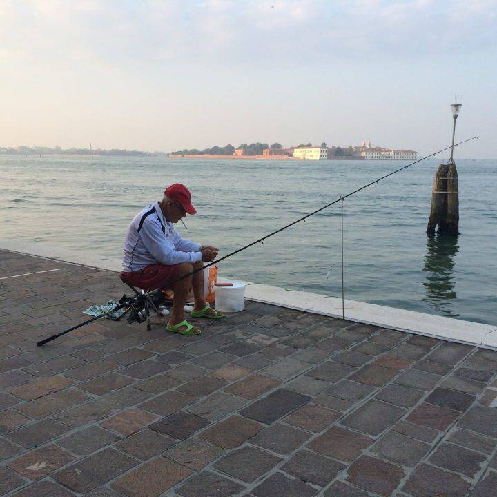 Fish of the Venetian Lagoon