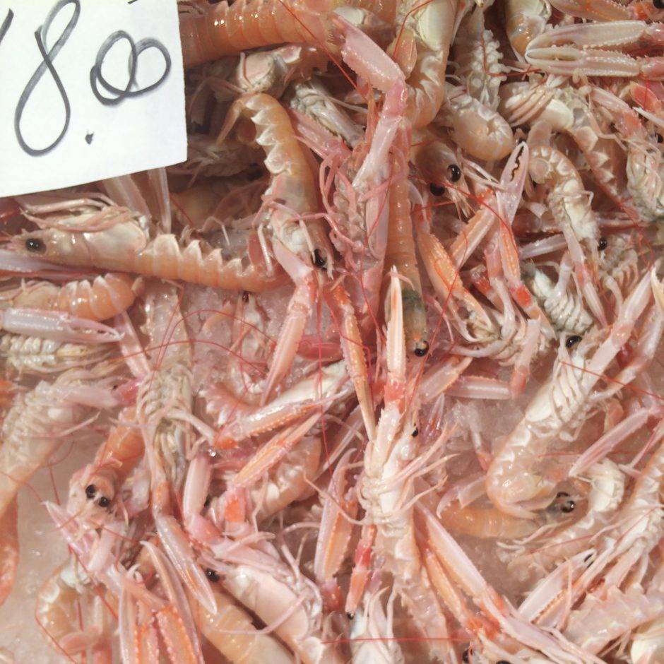shrimp in venice