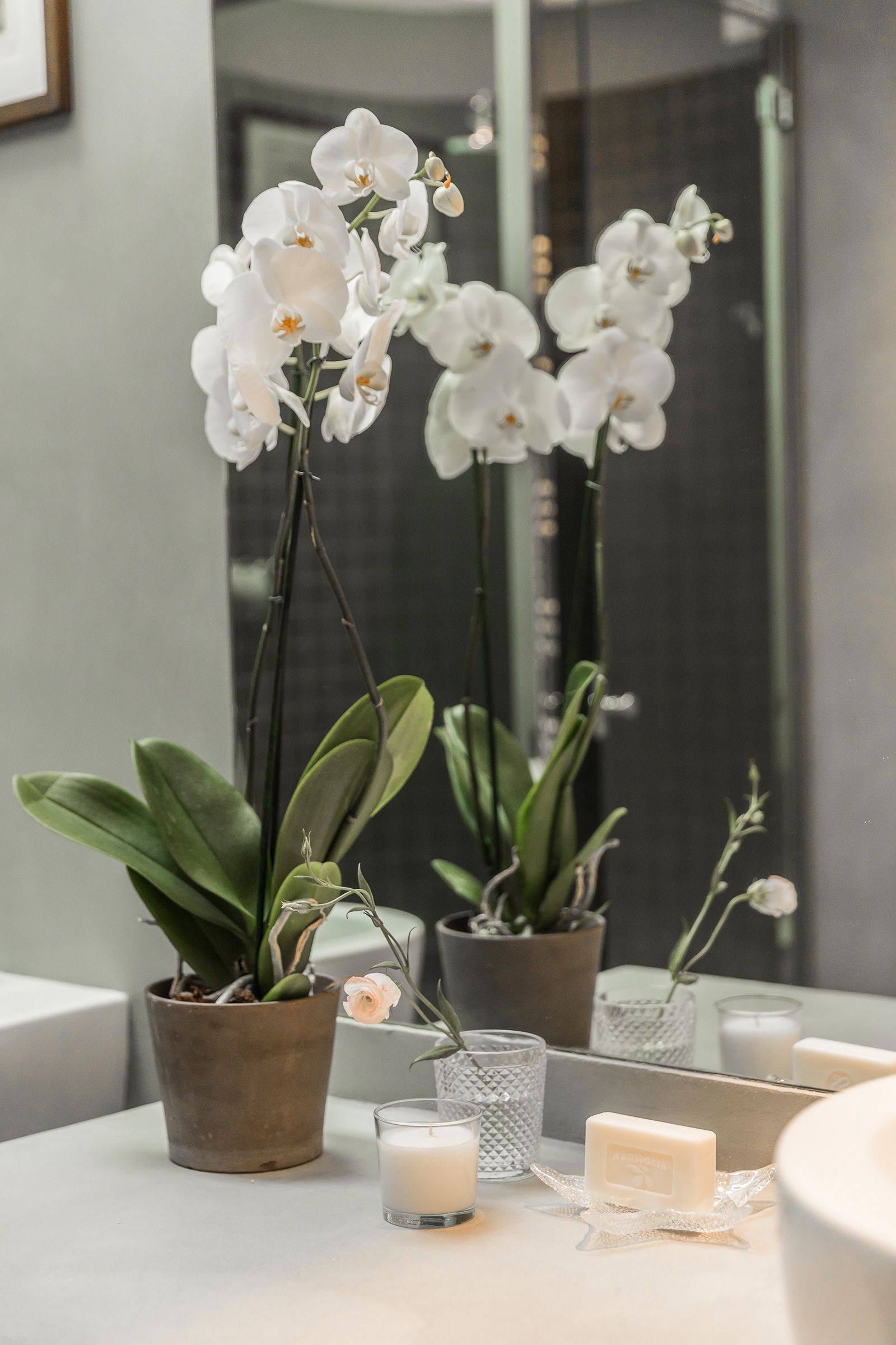 the bathroom is so beautiful, spacious and bright the bathroom is so beautiful, spacious and bright