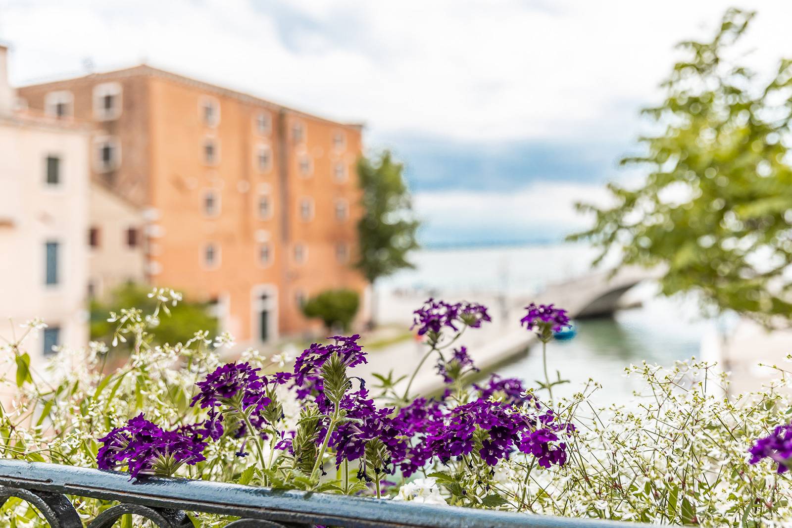 enjoy your holiday in Venice at the Alcova apartment!