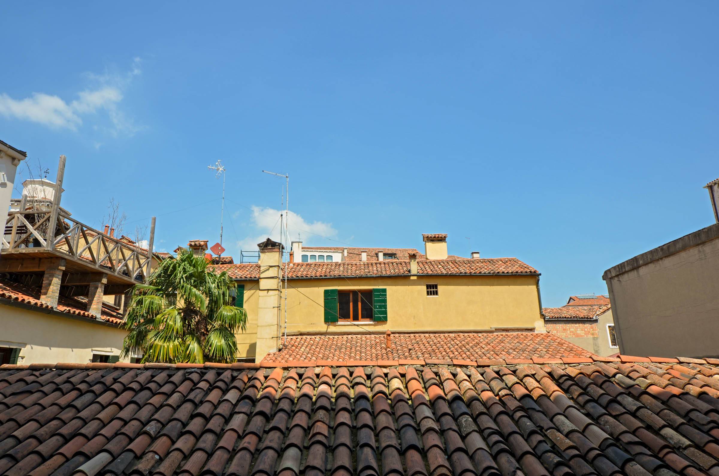 view from the large window on the rooftops