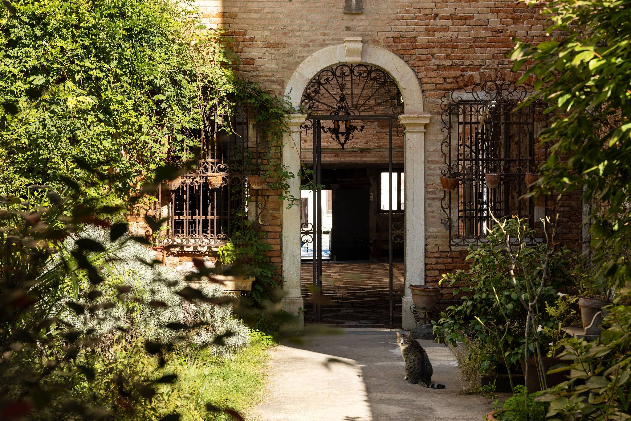 charming garden 