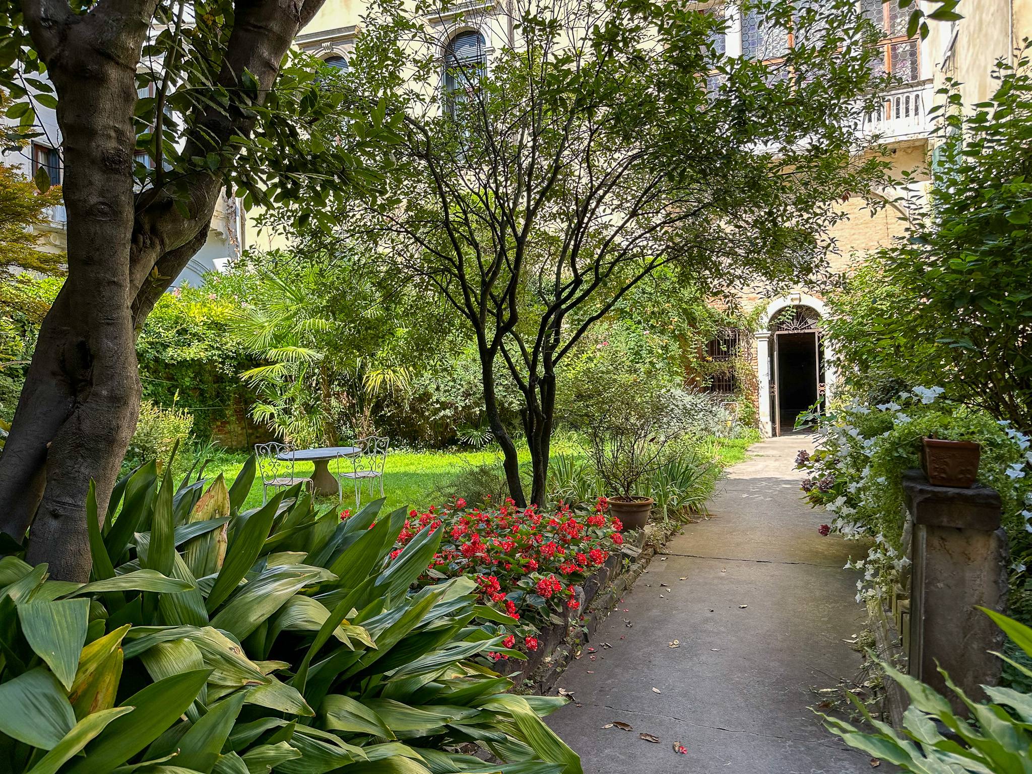 charming garden 